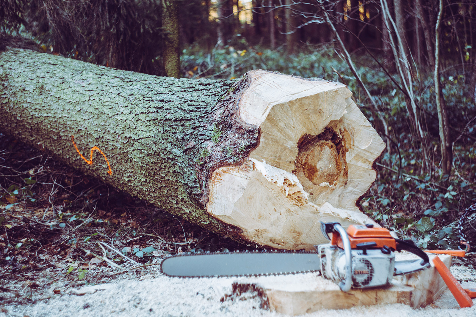 markus-spiske-qcCHZLdsS80-unsplash
